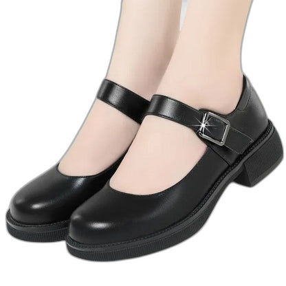 Comfortable Black Leather Mary Jane Shoes for Women with Block Heel Closed Toe Buckle Casual Style