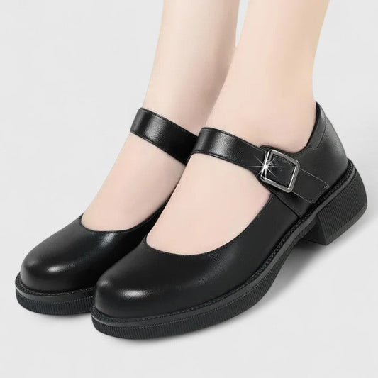 Comfortable Black Leather Mary Jane Shoes for Women with Block Heel Closed Toe Buckle Casual Style