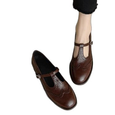Comfortable Brown Leather Mary Jane Shoes for Women with Ankle Strap Closed Toe Buckle Casual Style
