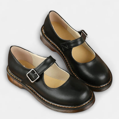 Comfortable Brown Leather Mary Jane Shoes for Women with Ankle Strap Closed Toe Buckle Casual Style