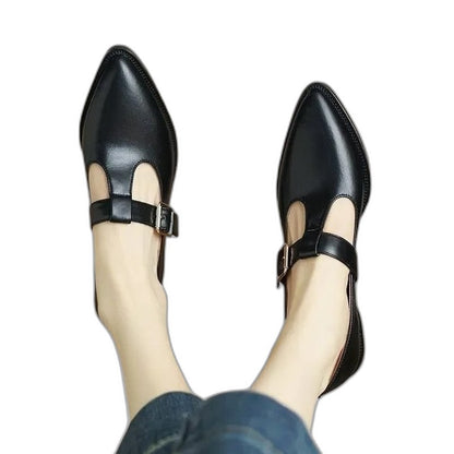 Comfortable Leather Mary Jane Shoes for Women with Block Heel Closed Toe Buckle Casual Style
