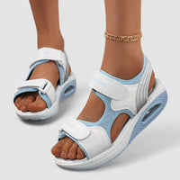 White/Blue