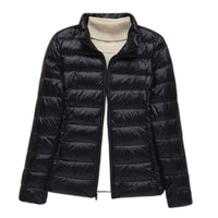 Black Stand Collar