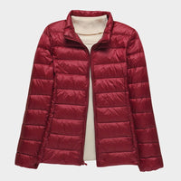 Burgundy Stand-up collar