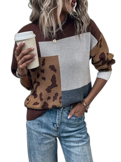 Effortless Color Block Sweater for Women with Crew Neck Long Sleeve Casual Style