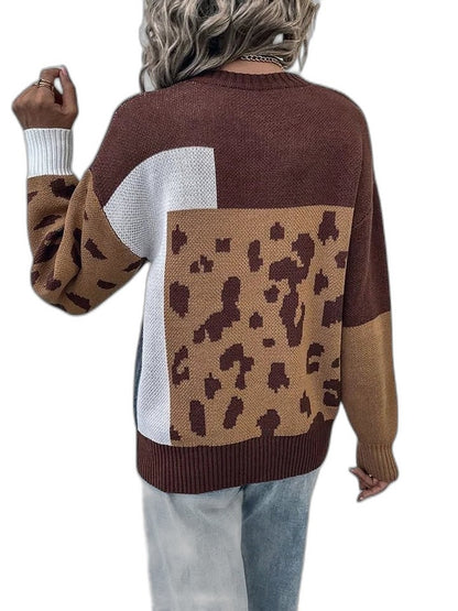 Effortless Color Block Sweater for Women with Crew Neck Long Sleeve Casual Style